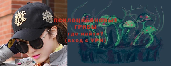 гашик Белоозёрский