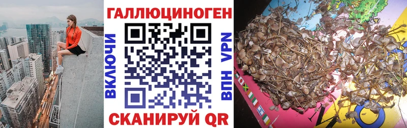 Галлюциногенные грибы Psilocybine cubensis нарко площадка телеграм hydra сайт Облучье купить наркотик