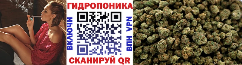 дарнет шоп  Облучье  Канабис индика 